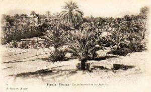 Figuig 031